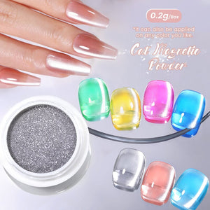 White Cat Magnetic Powder NDM007 Nail Art NICOLE DIARY