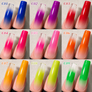 9 Colors Pat Painting Gel Prism Page